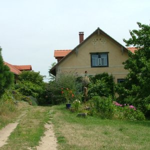 Gartenimpression in Pillnitz