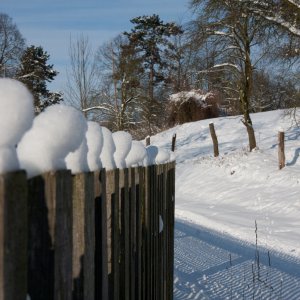 Winterimpressionen 2010