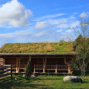 Baumstammhaus mit Grasdach