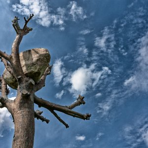 Bronzebaum „Idee di Pietra“ - Giuseppe Penones
