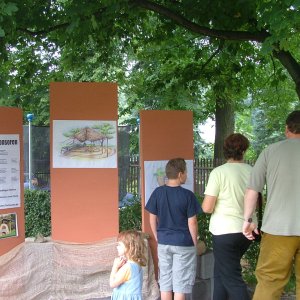 Projekt: vor dem 1. Spatenstich (Lehmbackofen für eine Kindertagesstätte über das Forum: Fachwerk.de)(2)