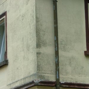 Fassade mit modernem Edelputz und Anstrich (Detail)