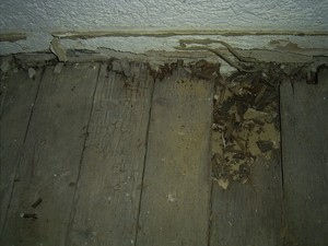 Fußboden / Fußbodenaufbau über Kellergewölbe