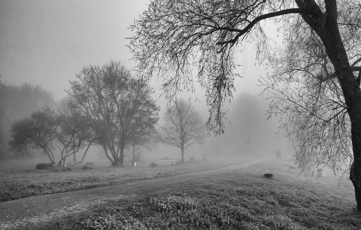 Nebel am Wendebachstausee