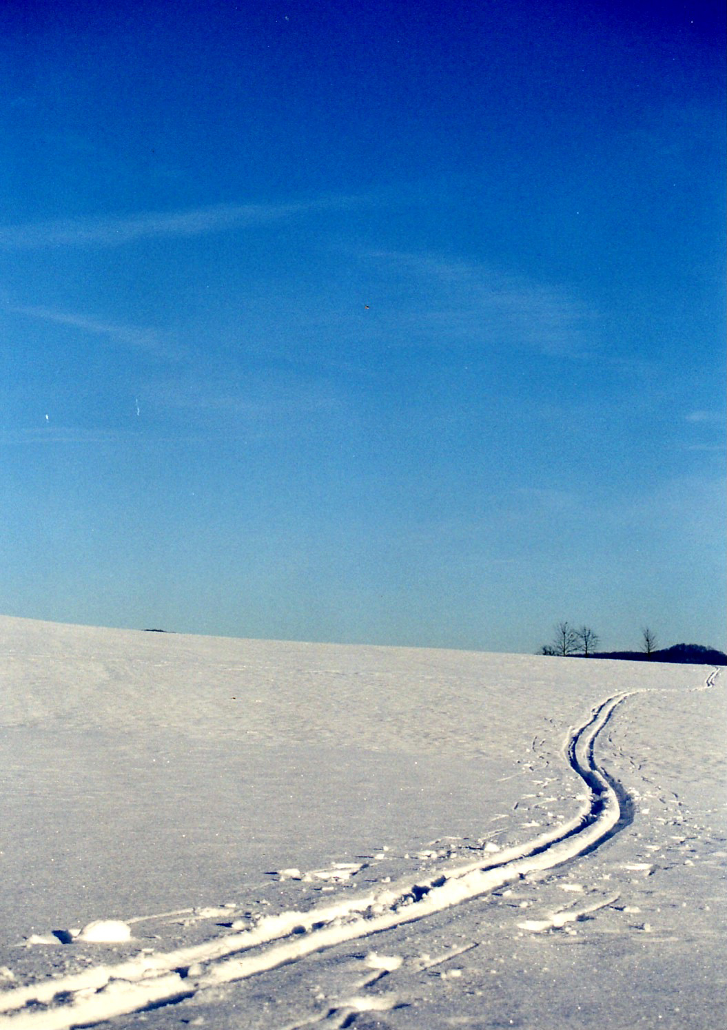 Winterspaziergang VI
