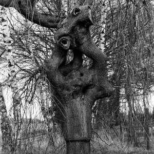 Verknoteter Baum