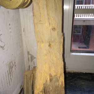 Vom Holzbock zersägter Balken 