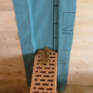 Anschlußdetail Lehmsteinwand an Holzbauteil incl. Winddichtungslösung