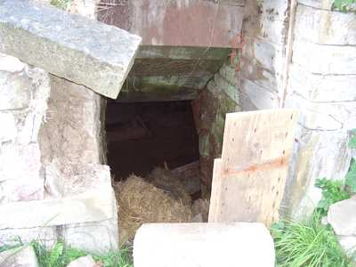 beschädigter Kellereingang